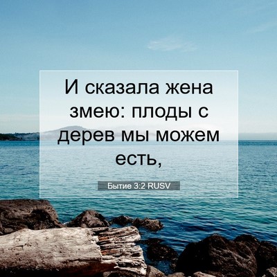 Picture 07 - Бытие 3:2 RUSV - И сказала жена змею: плоды - Bible Verse Picture