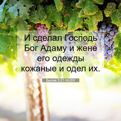 Picture 07 - Бытие 3:21 RUSV - И сделал Господь Бог Адаму - Bible Verse Picture