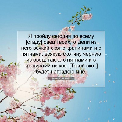 Picture 07 - Бытие 30:32 RUSV - Я пройду сегодня по всему - Bible Verse Picture