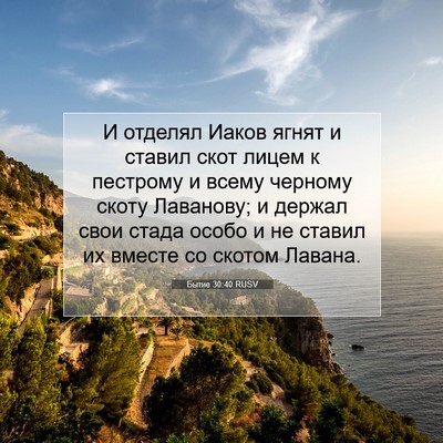 Picture 07 - Бытие 30:40 RUSV - И отделял Иаков ягнят и - Bible Verse Picture