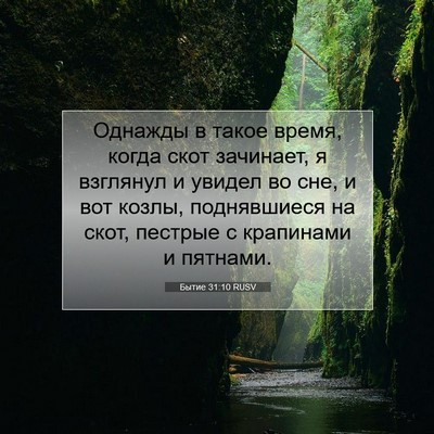 Picture 07 - Бытие 31:10 RUSV - Однажды в такое время, - Bible Verse Picture