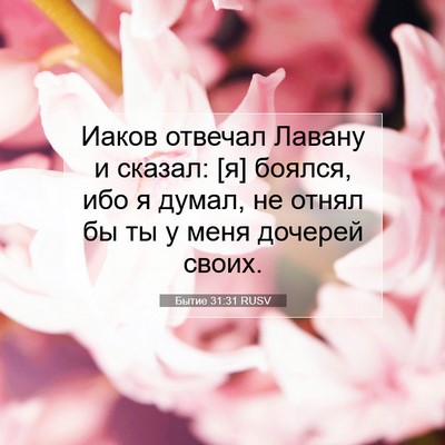 Picture 07 - Бытие 31:31 RUSV - Иаков отвечал Лавану и - Bible Verse Picture