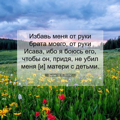 Picture 07 - Бытие 32:11 RUSV - Избавь меня от руки брата - Bible Verse Picture
