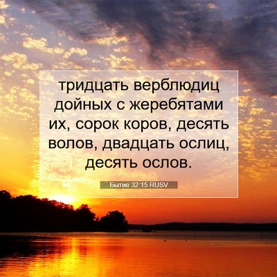 Picture 07 - Бытие 32:15 RUSV - тридцать верблюдиц дойных - Bible Verse Picture