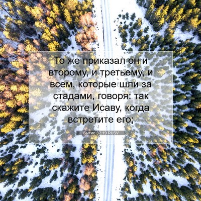 Picture 07 - Бытие 32:19 RUSV - То же приказал он и - Bible Verse Picture