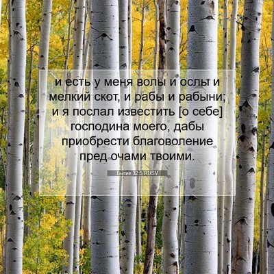Picture 07 - Бытие 32:5 RUSV - и есть у меня волы и ослы и - Bible Verse Picture