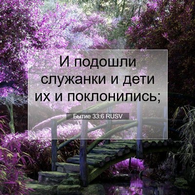 Picture 07 - Бытие 33:6 RUSV - И подошли служанки и дети - Bible Verse Picture