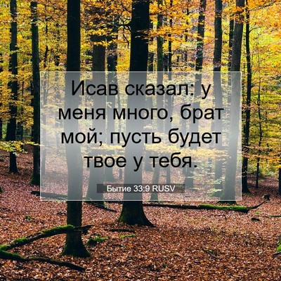 Picture 07 - Бытие 33:9 RUSV - Исав сказал: у меня много, - Bible Verse Picture