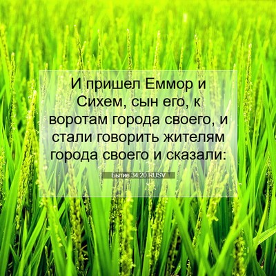 Picture 07 - Бытие 34:20 RUSV - И пришел Еммор и Сихем, сын - Bible Verse Picture