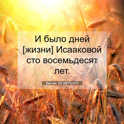 Picture 07 - Бытие 35:28 RUSV - И было дней [жизни] - Bible Verse Picture