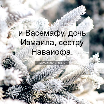 Picture 07 - Бытие 36:3 RUSV - и Васемафу, дочь Измаила, - Bible Verse Picture