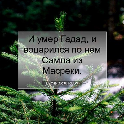Picture 07 - Бытие 36:36 RUSV - И умер Гадад, и воцарился - Bible Verse Picture