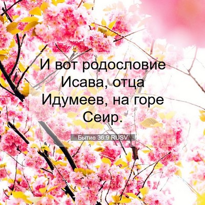 Picture 07 - Бытие 36:9 RUSV - И вот родословие Исава, - Bible Verse Picture