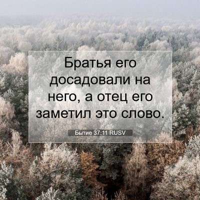 Picture 07 - Бытие 37:11 RUSV - Братья его досадовали на - Bible Verse Picture
