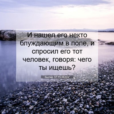 Picture 07 - Бытие 37:15 RUSV - И нашел его некто - Bible Verse Picture