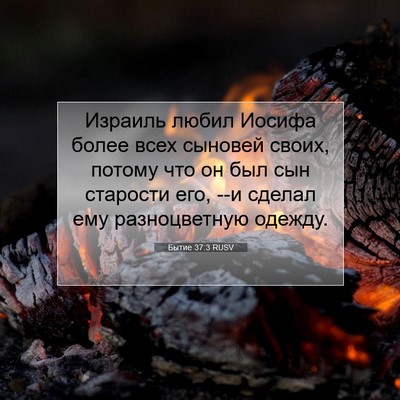 Picture 07 - Бытие 37:3 RUSV - Израиль любил Иосифа более - Bible Verse Picture