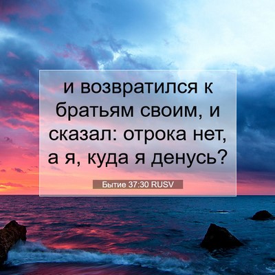 Picture 07 - Бытие 37:30 RUSV - и возвратился к братьям - Bible Verse Picture