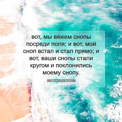 Picture 07 - Бытие 37:7 RUSV - вот, мы вяжем снопы посреди - Bible Verse Picture
