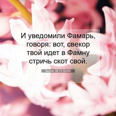 Picture 07 - Бытие 38:13 RUSV - И уведомили Фамарь, говоря: - Bible Verse Picture
