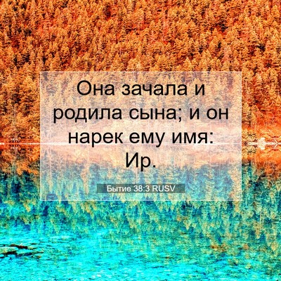 Picture 07 - Бытие 38:3 RUSV - Она зачала и родила сына; и - Bible Verse Picture