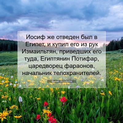 Picture 07 - Бытие 39:1 RUSV - Иосиф же отведен был в - Bible Verse Picture