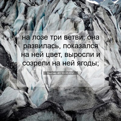 Picture 07 - Бытие 40:10 RUSV - на лозе три ветви; она - Bible Verse Picture