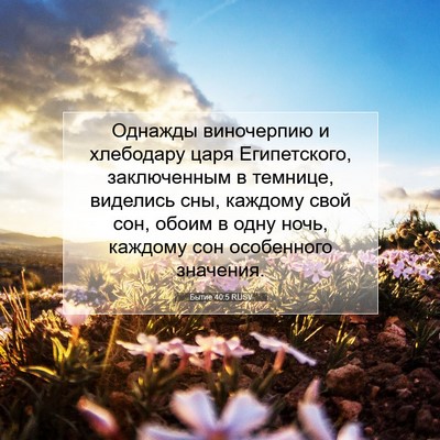 Picture 07 - Бытие 40:5 RUSV - Однажды виночерпию и - Bible Verse Picture
