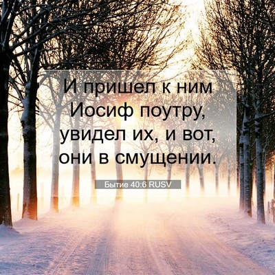 Picture 07 - Бытие 40:6 RUSV - И пришел к ним Иосиф - Bible Verse Picture