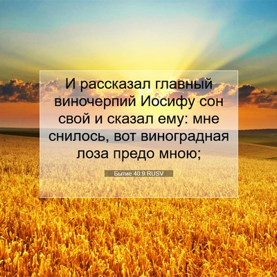 Picture 07 - Бытие 40:9 RUSV - И рассказал главный - Bible Verse Picture