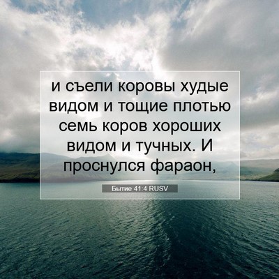 Picture 07 - Бытие 41:4 RUSV - и съели коровы худые видом - Bible Verse Picture