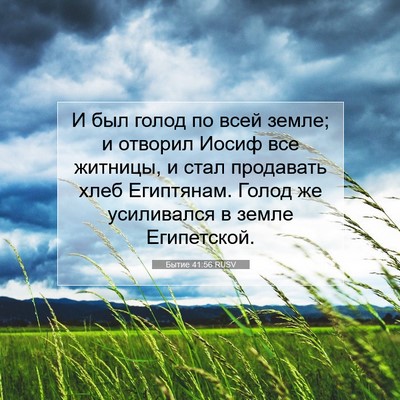 Picture 07 - Бытие 41:56 RUSV - И был голод по всей земле; и - Bible Verse Picture
