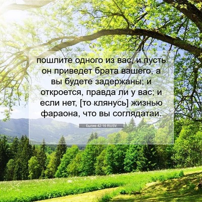 Picture 07 - Бытие 42:16 RUSV - пошлите одного из вас, и - Bible Verse Picture