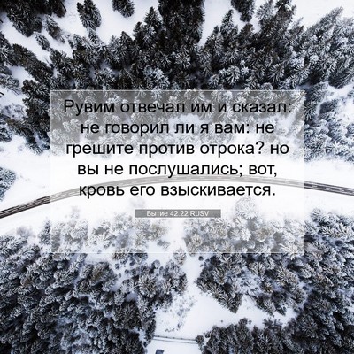 Picture 07 - Бытие 42:22 RUSV - Рувим отвечал им и сказал: - Bible Verse Picture