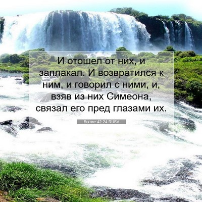 Picture 07 - Бытие 42:24 RUSV - И отошел от них, и заплакал. - Bible Verse Picture