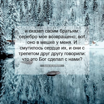 Picture 07 - Бытие 42:28 RUSV - и сказал своим братьям: - Bible Verse Picture