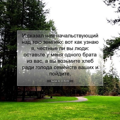 Picture 07 - Бытие 42:33 RUSV - И сказал нам - Bible Verse Picture