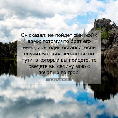 Picture 07 - Бытие 42:38 RUSV - Он сказал: не пойдет сын - Bible Verse Picture