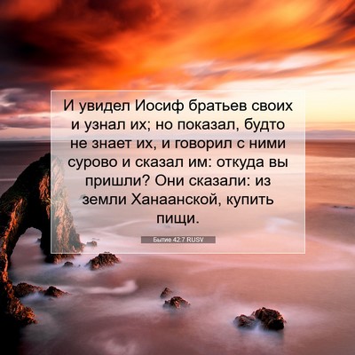 Picture 07 - Бытие 42:7 RUSV - И увидел Иосиф братьев - Bible Verse Picture