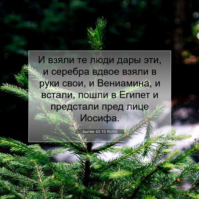 Picture 07 - Бытие 43:15 RUSV - И взяли те люди дары эти, и - Bible Verse Picture