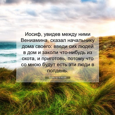 Picture 07 - Бытие 43:16 RUSV - Иосиф, увидев между ними - Bible Verse Picture