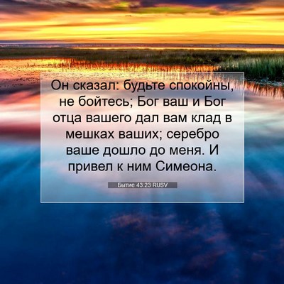 Picture 07 - Бытие 43:23 RUSV - Он сказал: будьте спокойны, - Bible Verse Picture