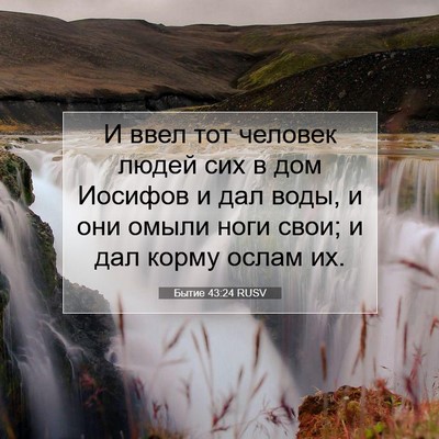 Picture 07 - Бытие 43:24 RUSV - И ввел тот человек людей - Bible Verse Picture