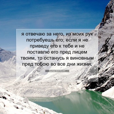 Picture 07 - Бытие 43:9 RUSV - я отвечаю за него, из моих - Bible Verse Picture
