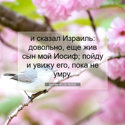 Picture 07 - Бытие 45:28 RUSV - и сказал Израиль: довольно, - Bible Verse Picture