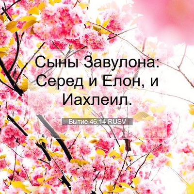 Picture 07 - Бытие 46:14 RUSV - Сыны Завулона: Серед и - Bible Verse Picture