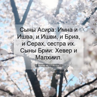Picture 07 - Бытие 46:17 RUSV - Сыны Асира: Имна и Ишва, и - Bible Verse Picture