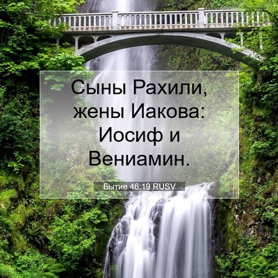Picture 07 - Бытие 46:19 RUSV - Сыны Рахили, жены Иакова: - Bible Verse Picture