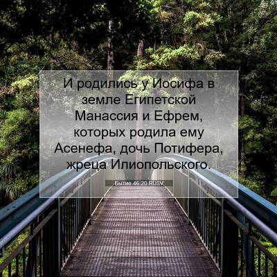 Picture 07 - Бытие 46:20 RUSV - И родились у Иосифа в земле - Bible Verse Picture