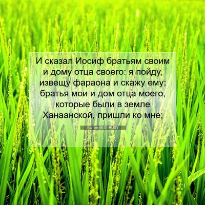 Picture 07 - Бытие 46:31 RUSV - И сказал Иосиф братьям - Bible Verse Picture