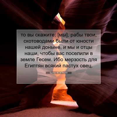 Picture 07 - Бытие 46:34 RUSV - то вы скажите: [мы], рабы - Bible Verse Picture